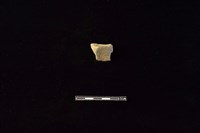 陶片藏品圖，第1張